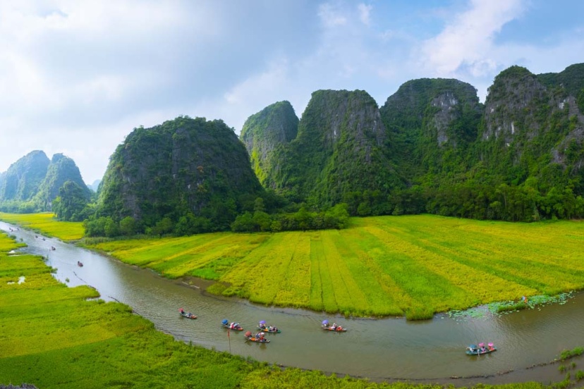 International International